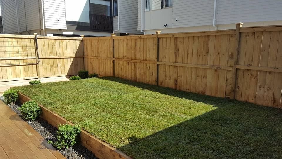 roll out grass